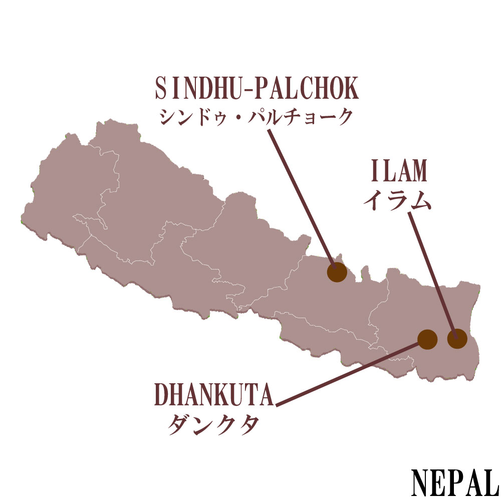 ネパールの紅茶