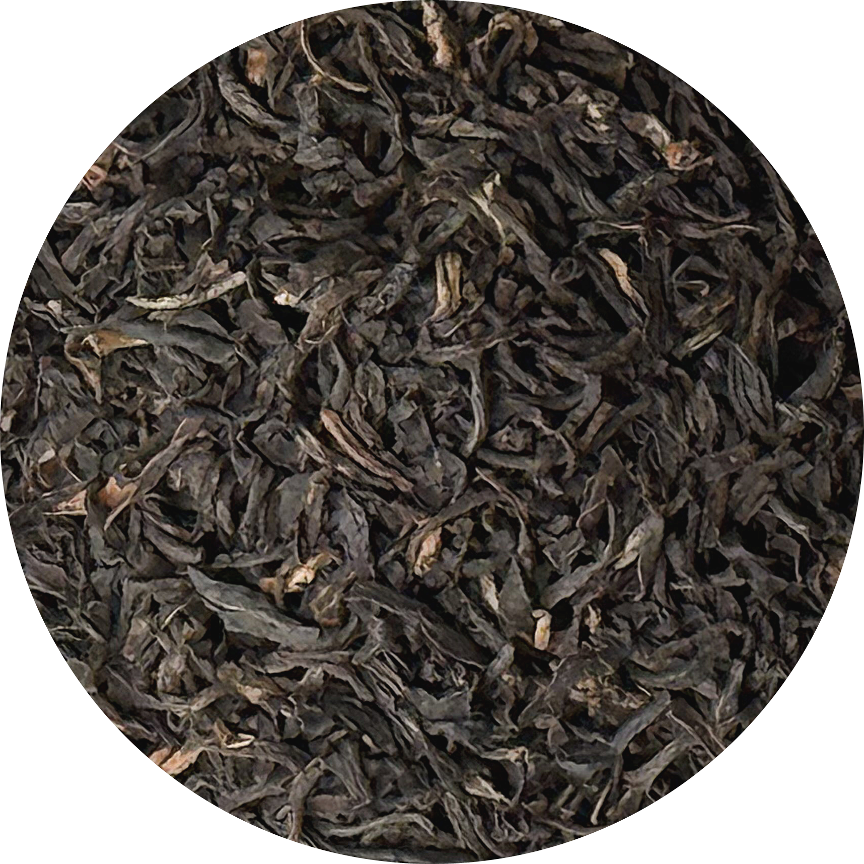 アッサム パニトラ茶園 GTGFOP 2024年夏摘み – TEA CLAN
