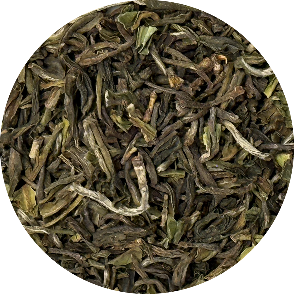 TEA CLAN 紅茶専門店 オンラインショップ