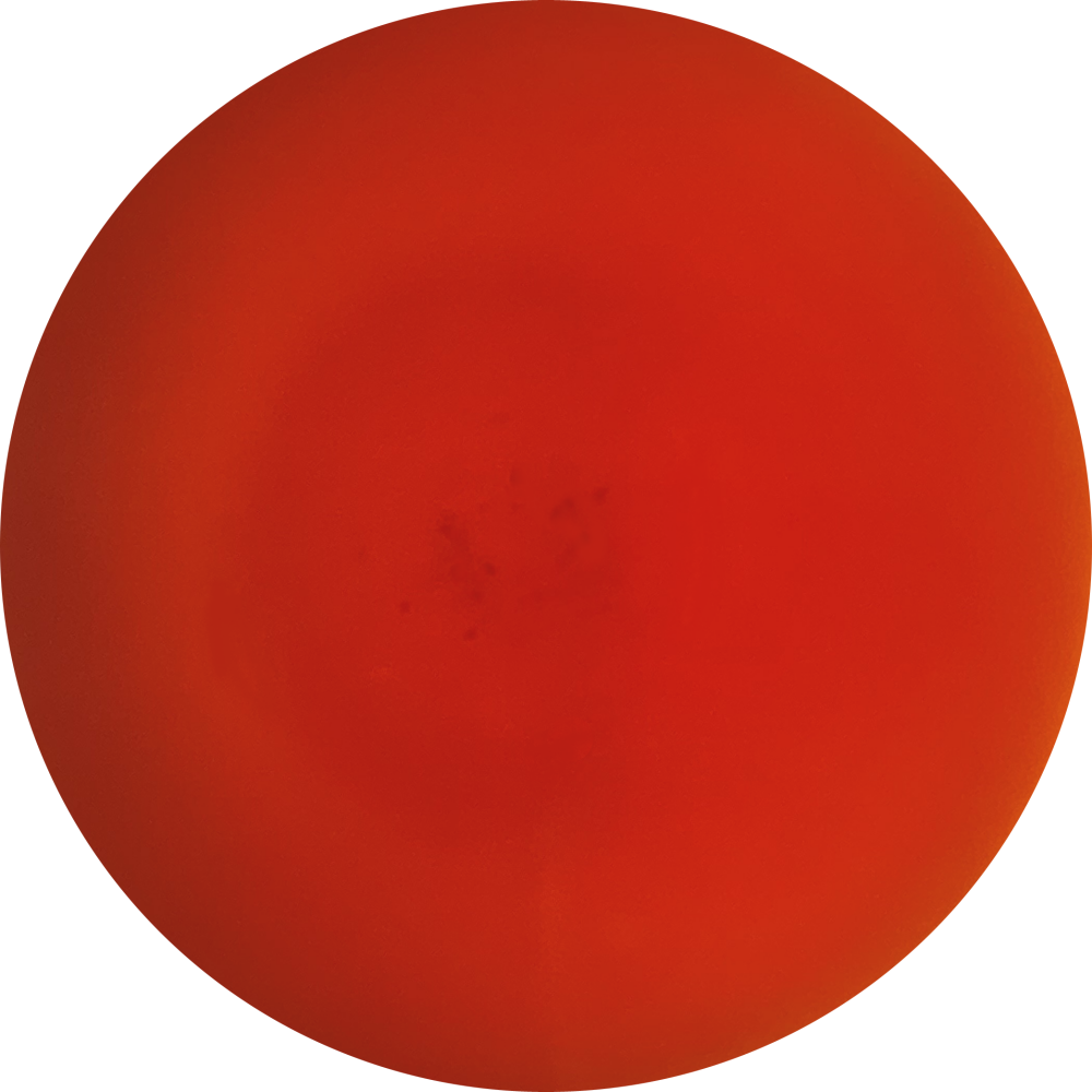 アッサム マンガラン茶園 (Clonal Special FTGFOP1) 2024年夏摘み