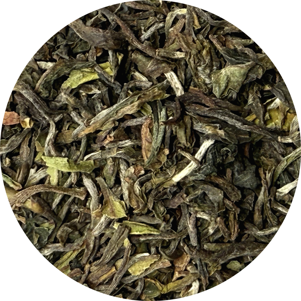 ダージリン ファーストフラッシュ タルボ茶園 (FTGFOP1-CL) 2025年春